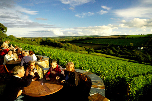 Camel Valley